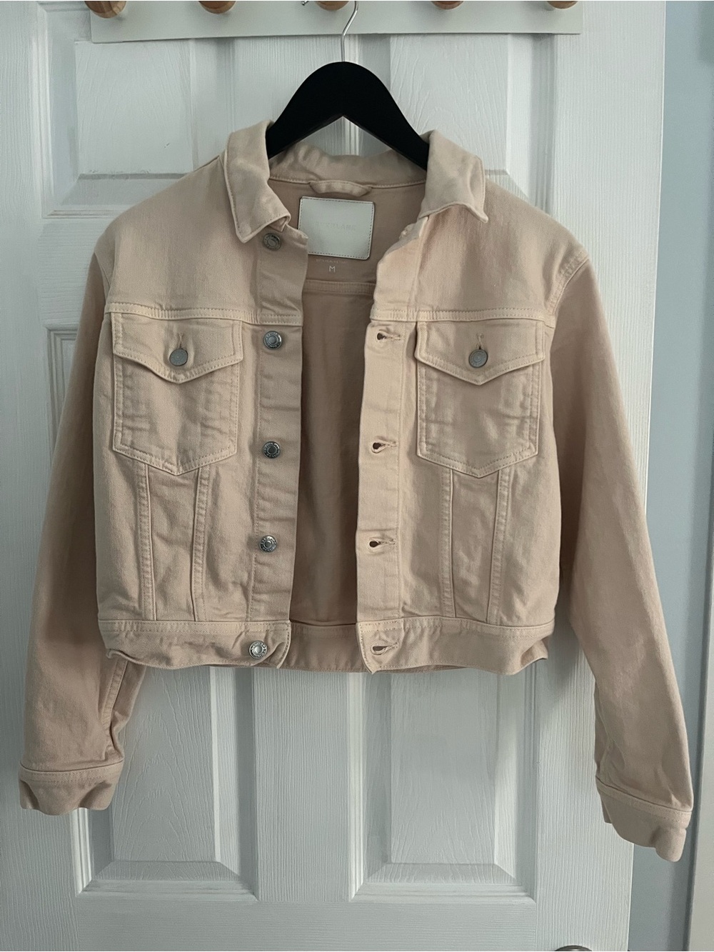 Everlane Denim Jacket
